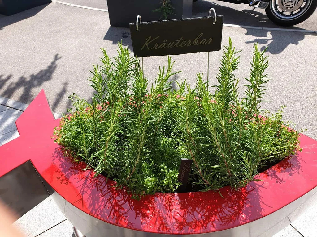 Pflanztrog / Hochbeet